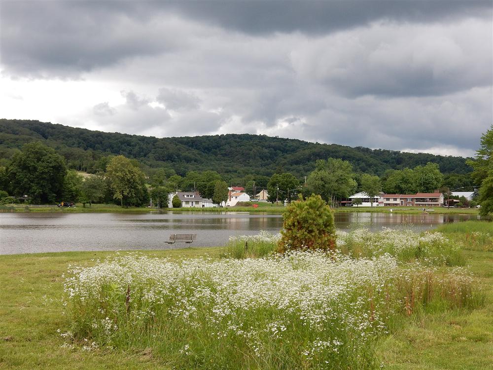 A quiet Pennsylvania lake surrounded by trees, representative of the region's ponds and waterways