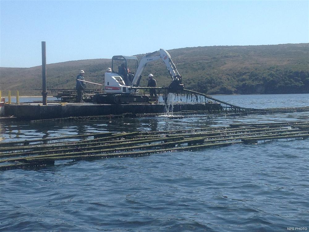 An excavator working from a barge during a waterway restoration project